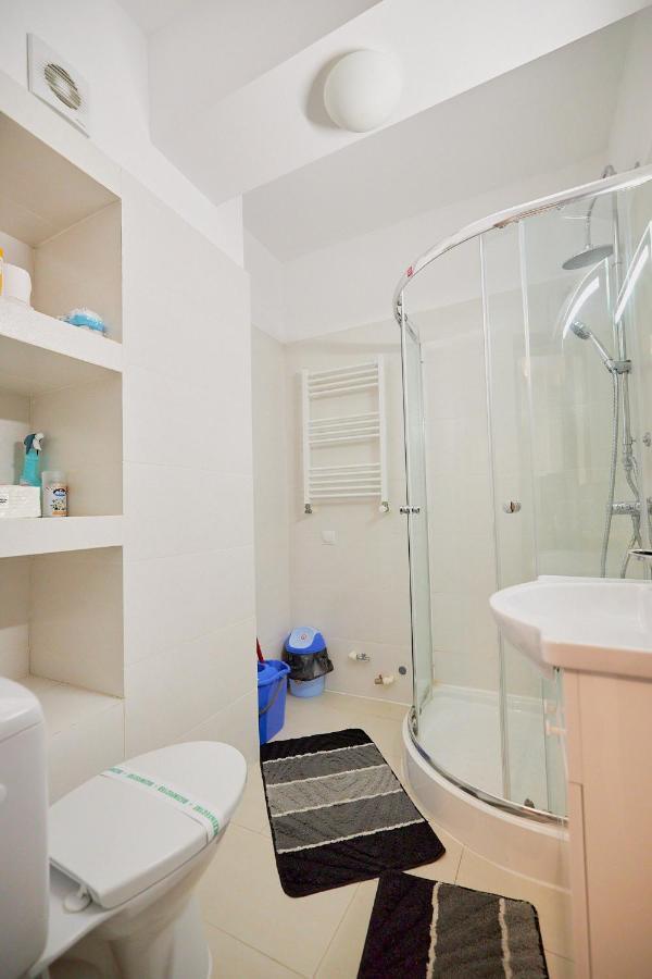Alessandro Home 2 Luxury Centru Palas Mall Iasi Moldovei 30 Eksteriør billede